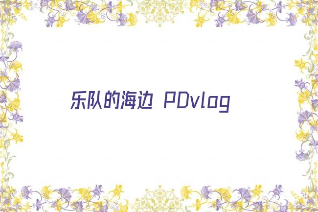 乐队的海边 PDvlog剧照